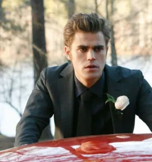 🤨 Stefan Salvatore The Vampire Diaries 뱀파이어, 결혼식, 정장, 폴 웨슬리, 초자연 telegram sticker