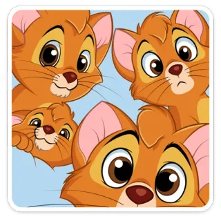 😮 mèo, dễ thương, mèo con, hoạt hình, động vật telegram sticker