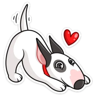 ❤️ chien, bull terrier, animal, animal de compagnie, coeur, mignon, joueur whatsapp sticker