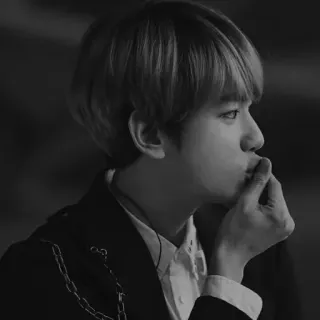 ✨ pria, K-pop, hitam putih, potret, penyanyi, aktor telegram sticker