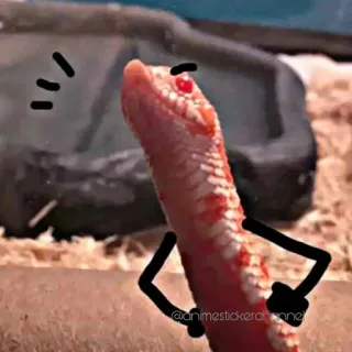 😒 schlange, tier, reptil, cartoon, arme whatsapp sticker