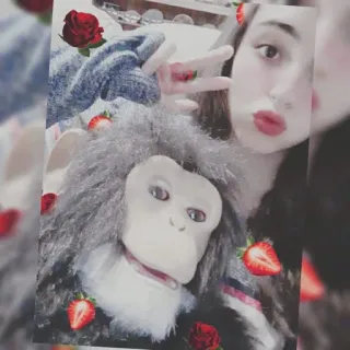 🦍 whatsapp sticker