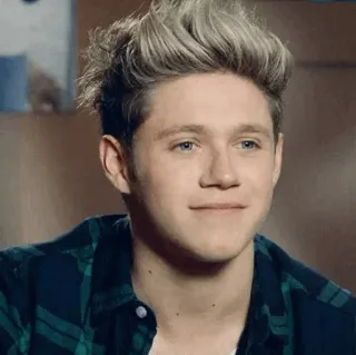 ✨ Niall Horan คนดัง, นักร้อง, ภาพเหมือน, one direction, เพลง telegram sticker