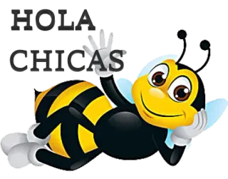 👋 HOLA CHICAS ape, ciao, ragazze, saluto, cartone animato whatsapp sticker