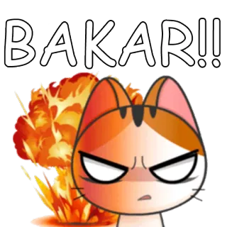 🔥 BAKAR!! gato, explosão, bravo, desenho animado, fogo telegram sticker