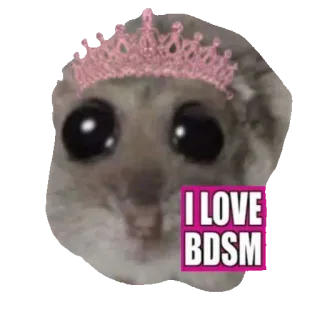😶 Hamster I LOVE BDSM hamster, princess, tiara, funny, bdsm, meme telegram sticker