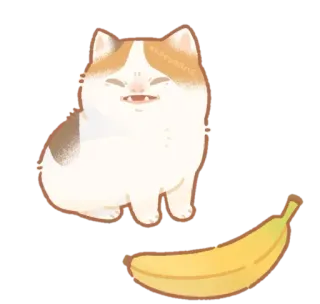 🐾 猫, バナナ, かわいい, 動物, ステッカー telegram sticker