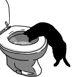 💩 Katze, Toilette, Tier, Trinken, Wasser, Haustier, Badezimmer, Haustier telegram sticker