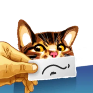 😕 кот, котенок, животное, питомец, грустный, выражение whatsapp sticker