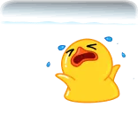 🦆
