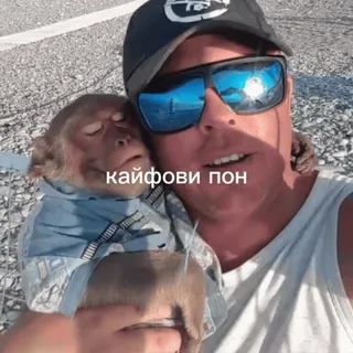 🥰 кайфови пон scimmia, uomo, occhiali da sole, animale telegram sticker