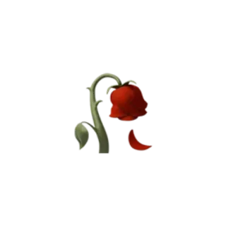 ❤️ rose, flower, sad, wilted, broken, love, red telegram sticker