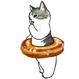 🍩 gato, dona, animal, lindo, gatito, mascota whatsapp sticker