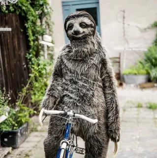 🦥 luiaard, fiets, grappig, dier, kostuum, straat telegram sticker