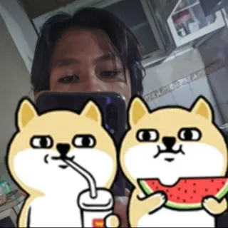 😎 dog, cute, watermelon, drink telegram sticker