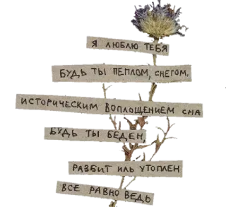 ✨ Я ЛЮБЛЮ ТЕБЯ
БУДЬ ТЫ ПЕПЛОМ, СНЕГОМ,
ИСТОРИЧЕСКИМ Воплощением сHA
БУДЬ ТЫ БЕДЕН,
РАЗБИТ илЬ УТОПЛЕН
ВСЕ РАВНО ВЕДЬ cinta, rusia, bunga, romantis, puisi whatsapp sticker