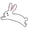 🐇