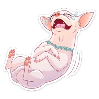 😂 chihuahua, cachorro, animal, animal de estimação, rindo, alegre, fofo whatsapp sticker