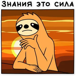 🧐 ЗНАНИЯ ЭТО СИЛА paresseux, savoir, réflexion, dessin animé, sagesse, animal whatsapp sticker