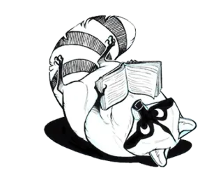 📙 raccoon, reading, book, animal, cartoon telegram sticker