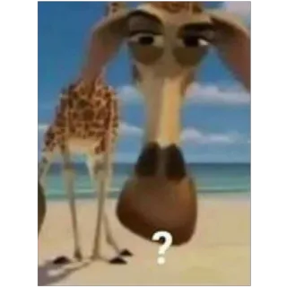 🫥 Melman Madagascar Melman, Madagascar, giraffe, question mark, beach, animated, cartoon telegram sticker