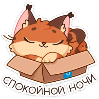 😴 СПОКОЙНОЙ НОЧИ Katze, Schlaf, Nacht, Karton, süß, russisch, gute Nacht whatsapp sticker