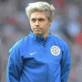 ✨ Niall Horan BEST OF THE WORLD ไนออล ฮอแรน, นักดนตรี, นักร้อง, One Direction telegram sticker