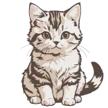 😺