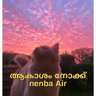 😂 ആകാശം നോക്ക്
nenba Air cat, sky, sunset, clouds, pink, nature telegram sticker