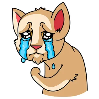 😭 cat, sad, crying, tears, cute, animal telegram sticker