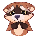 🥺 guaxinim, animal, fofo, desenho animado, peludo, triste, implorando telegram sticker