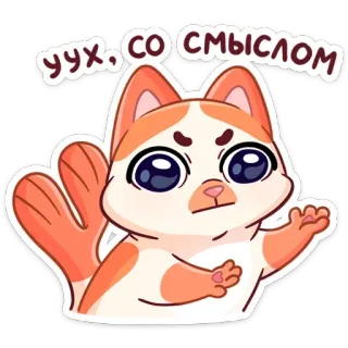 😒 УХХ, СО СМЫСЛОМ Katze, süß, Gesichtsausdruck, lustig, Sticker telegram sticker