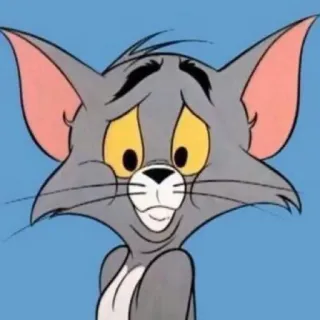 😕 Tom Cat Tom and Jerry desenho animado, gato, animal, personagem telegram sticker
