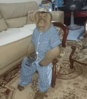 😐 monkey whatsapp sticker