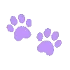 🐾