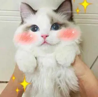 Cattos @PhantoNull telegram stickers