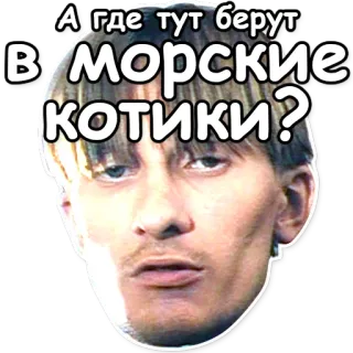 😻 А где тут берут
В морские котики? russisch, poetin, meme, vraag, militair, navy seals telegram sticker