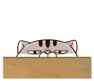 😒 Katze, Haustier, Tier, süß, Tisch, Aufkleber whatsapp sticker