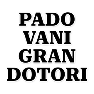 🔝 PADO
VANI
GRAN
DOTORI telegram sticker