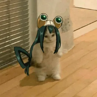 🐈 Tsuyu Asui My Hero Academia Tsuyu Asui, My Hero Academia, Anime, Gato, Sapo, Fofo telegram sticker