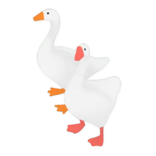 👫 ガチョウ, 鳥, 動物, 白, アヒル telegram sticker