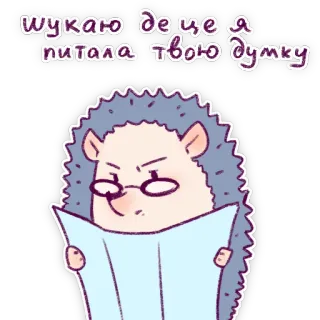 🙄 шукаю де це я питала твою думку ouriço, óculos, leitura, livro, sarcástico, adesivo telegram sticker
