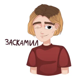 😉 ЗАСКАМИЛ pegatina, dibujos animados, guiño, retrato whatsapp sticker