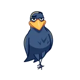 Angry Crow @TgEmojis telegram emojis ❤️