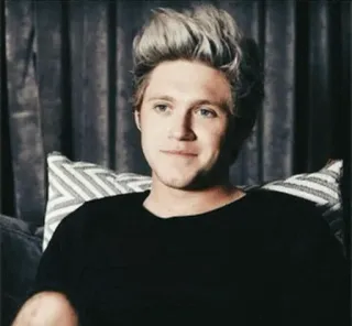 💫 Niall Horan 나일 호란, 원 디렉션, 가수, 음악가 telegram sticker