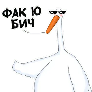 🖕 ФАК Ю БИЧ 오리, 선글라스, 불쾌한, 속어, 새, 멋진 telegram sticker