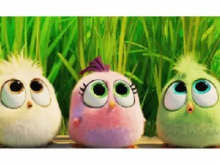 🙄 vogels, schattig, kuikens, cartoons, dieren, fluffy whatsapp sticker