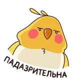 😒 корелла, птица, милый, животное, наклейка telegram sticker