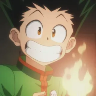 🌿 Gon Freecss Hunter x Hunter Anime, Feu, Garçon, Sourire, Chasseur, Gon telegram sticker