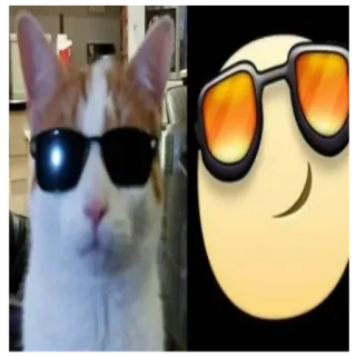😎 猫, 太阳镜, 酷, 表情符号 telegram sticker